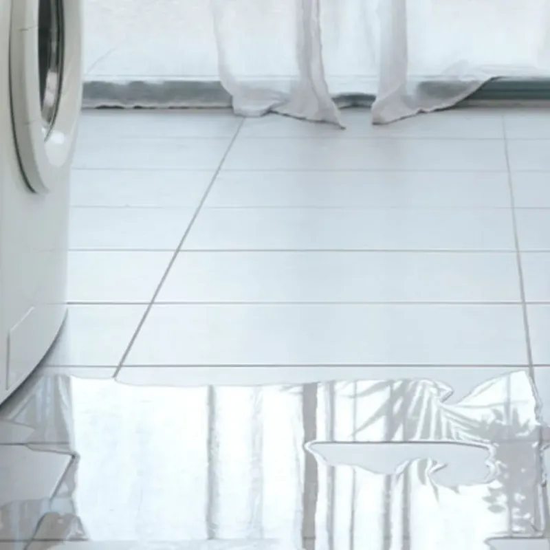 Appliance Leak Cleanup in Augusta County, VA