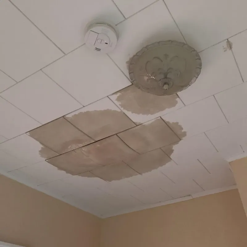 Ceiling Water Damage Repair in Augusta County, VA