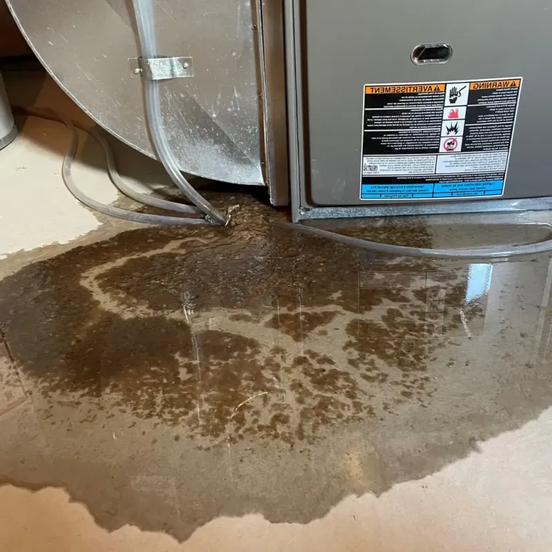 Pipe Burst and Leak Restoration in Augusta County, VA
