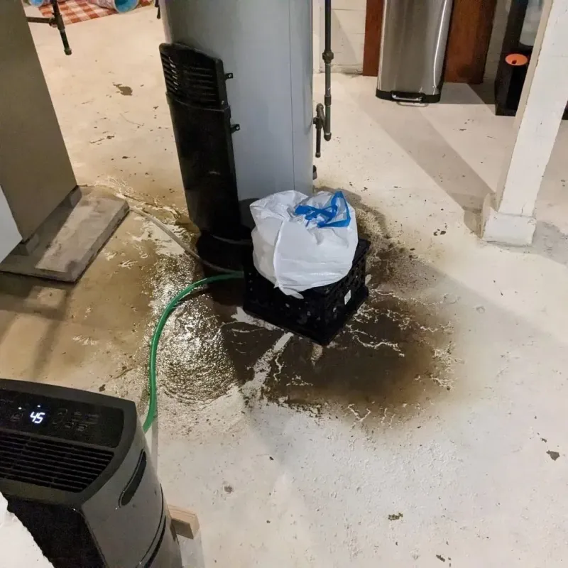 Sewage Backup Cleanup Service in Augusta County, VA